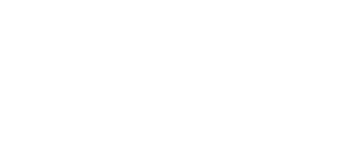 Adorn Preservation Logo Horizontal White